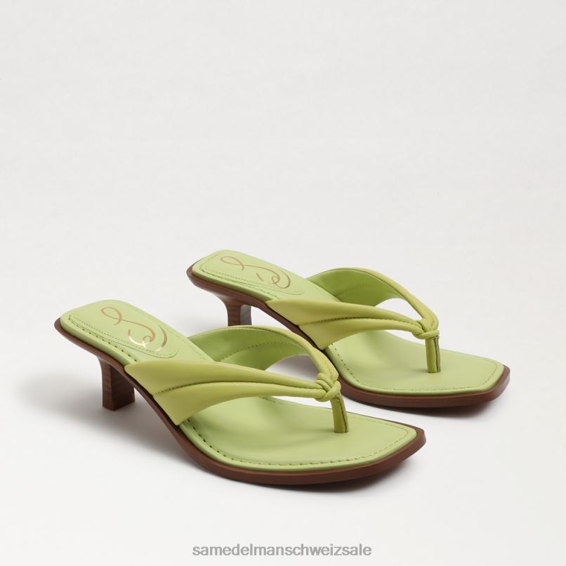 CH Sam Edelman Frauen Daphney Zehenstegsandale Kiwi-Leder X2J86710 Schuhwerk