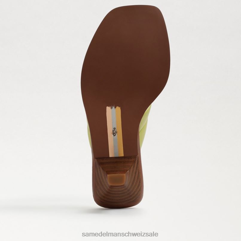 CH Sam Edelman Frauen Daphney Zehenstegsandale Kiwi-Leder X2J86710 Schuhwerk