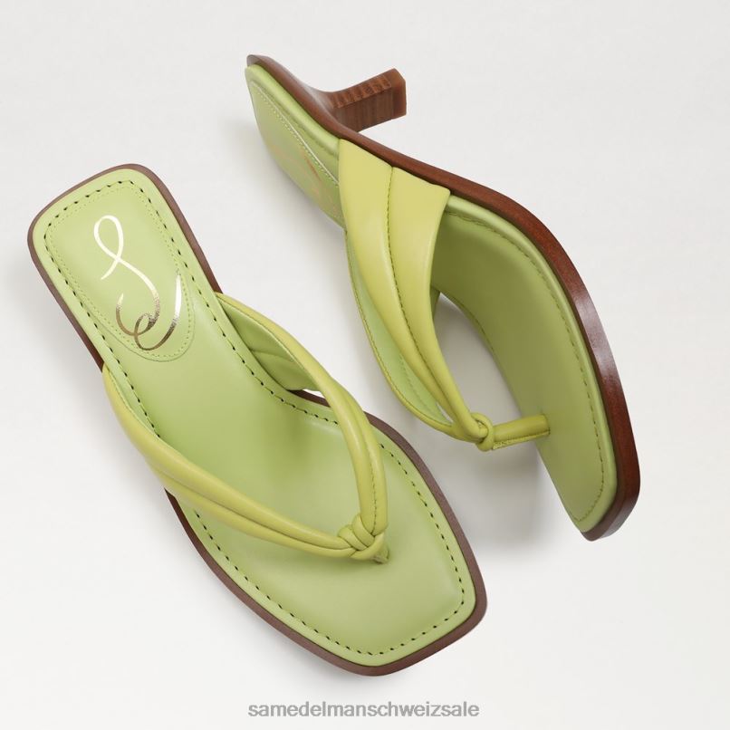 CH Sam Edelman Frauen Daphney Zehenstegsandale Kiwi-Leder X2J86710 Schuhwerk