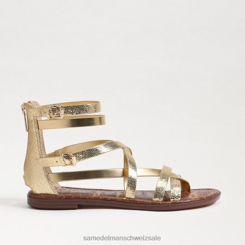 CH Sam Edelman Frauen Gibbs Gladiator-Sandale Bernstein Gold X2J86530 Schuhwerk